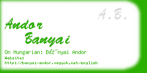 andor banyai business card